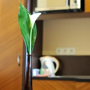 Baron 4* Budapest